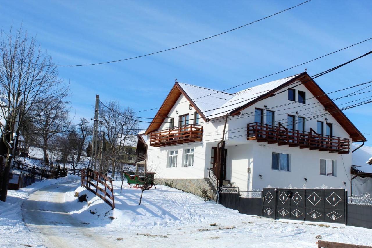 Milea'S Guesthouse Bran  Exteriör bild