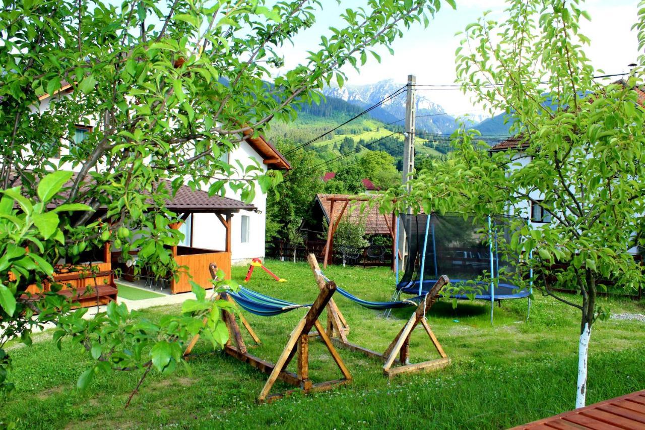 Milea'S Guesthouse Bran  Exteriör bild